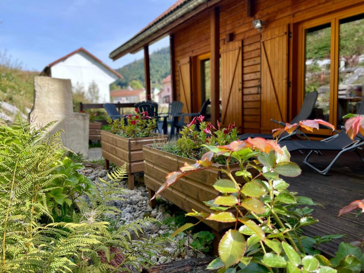 Chalet Des Feignes La Bresse Kültér fotó