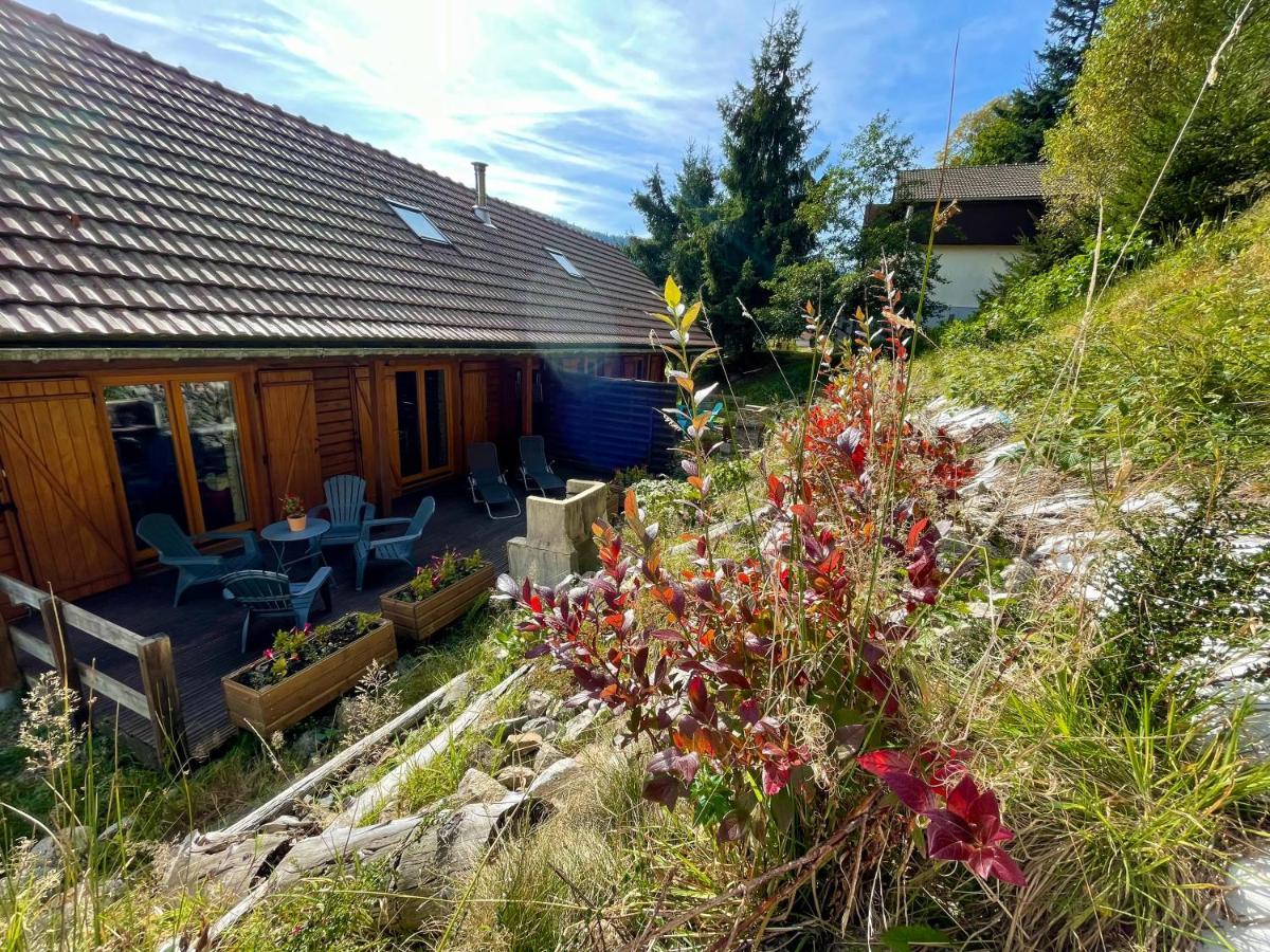 Chalet Des Feignes La Bresse Kültér fotó