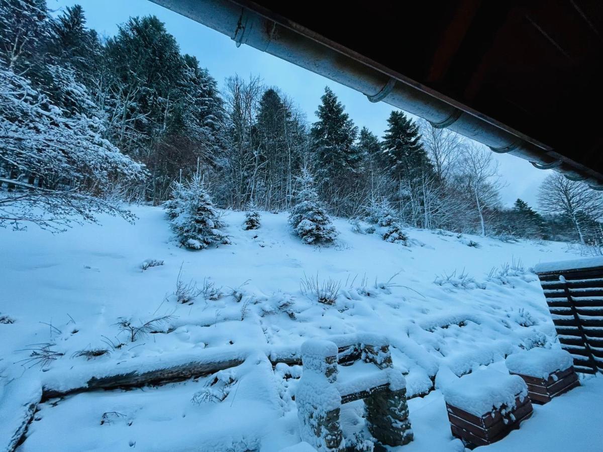 Chalet Des Feignes La Bresse Kültér fotó